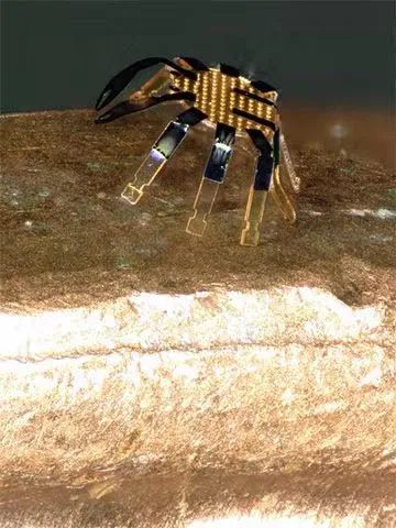 全球最小的遙控行走機(jī)器人誕生，用激光實(shí)現(xiàn)精準(zhǔn)運(yùn)動(dòng)控制